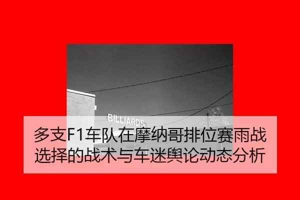 duo-zhi-che-dui-zai-mo-na-ge-pai-wei-sai-yu-zhan-xuan-ze-de-zhan-shu-yu-che-mi-yu-lun-dong-tai-fen-xi-2-409.jpg