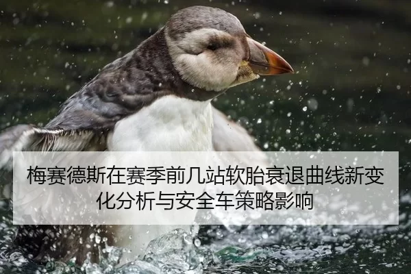 梅赛德斯在赛季前几站软胎衰退曲线新变化分析与安全车策略影响