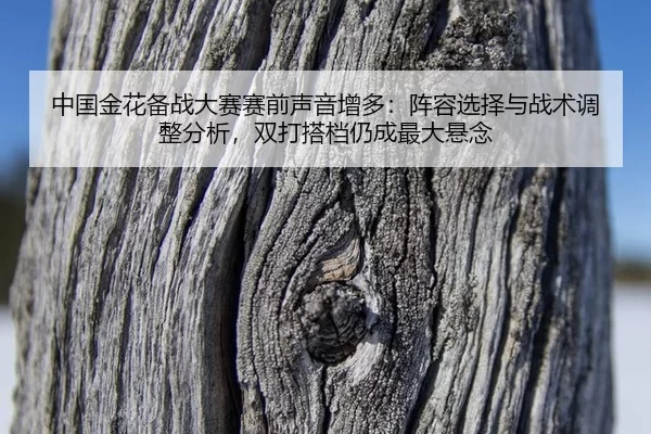 中国金花备战大赛赛前声音增多：阵容选择与战术调整分析，双打搭档仍成最大悬念