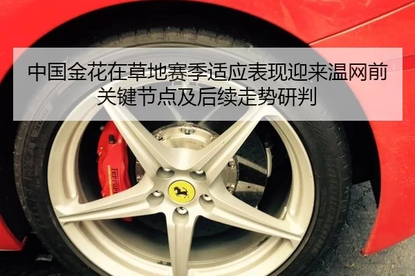 中国金花在草地赛季适应表现迎来温网前关键节点及后续走势研判